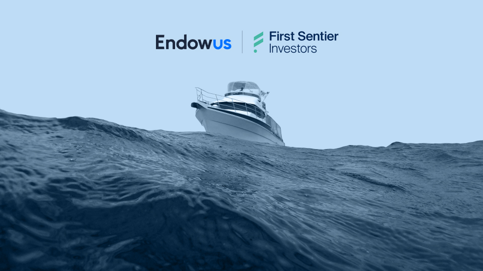 investment strategy focusing on governance, earnings growth